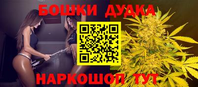 гидра Беслан