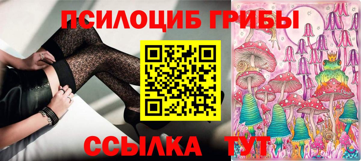 дарнет шоп  Галлюциногенные грибы Psilocybe  Вход с VPN  Будённовск 