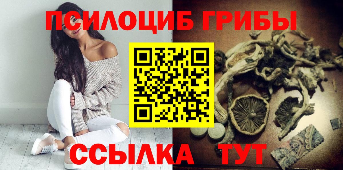Псилоцибиновые грибы Psilocybine cubensis  Будённовск  Галлюциногенные грибы Magic Shrooms 