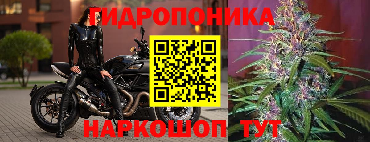 Канабис Ganja Будённовск
